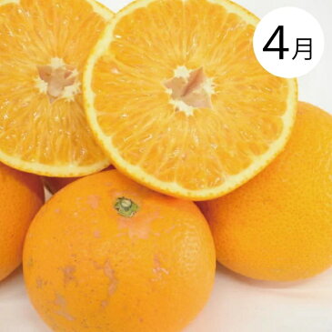 【ふるさと納税】【4か月定期便】和歌山産そだちの野菜とフルーツ定期便♪(八朔・トマト・すいか・桃)