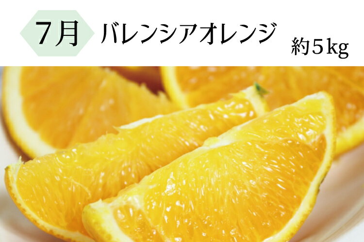 【ふるさと納税】 【全3回定期便】暑い季節にお届け！果物定期便 バレンシアオレンジ・桃・柿 旬のフルーツをお届け♪