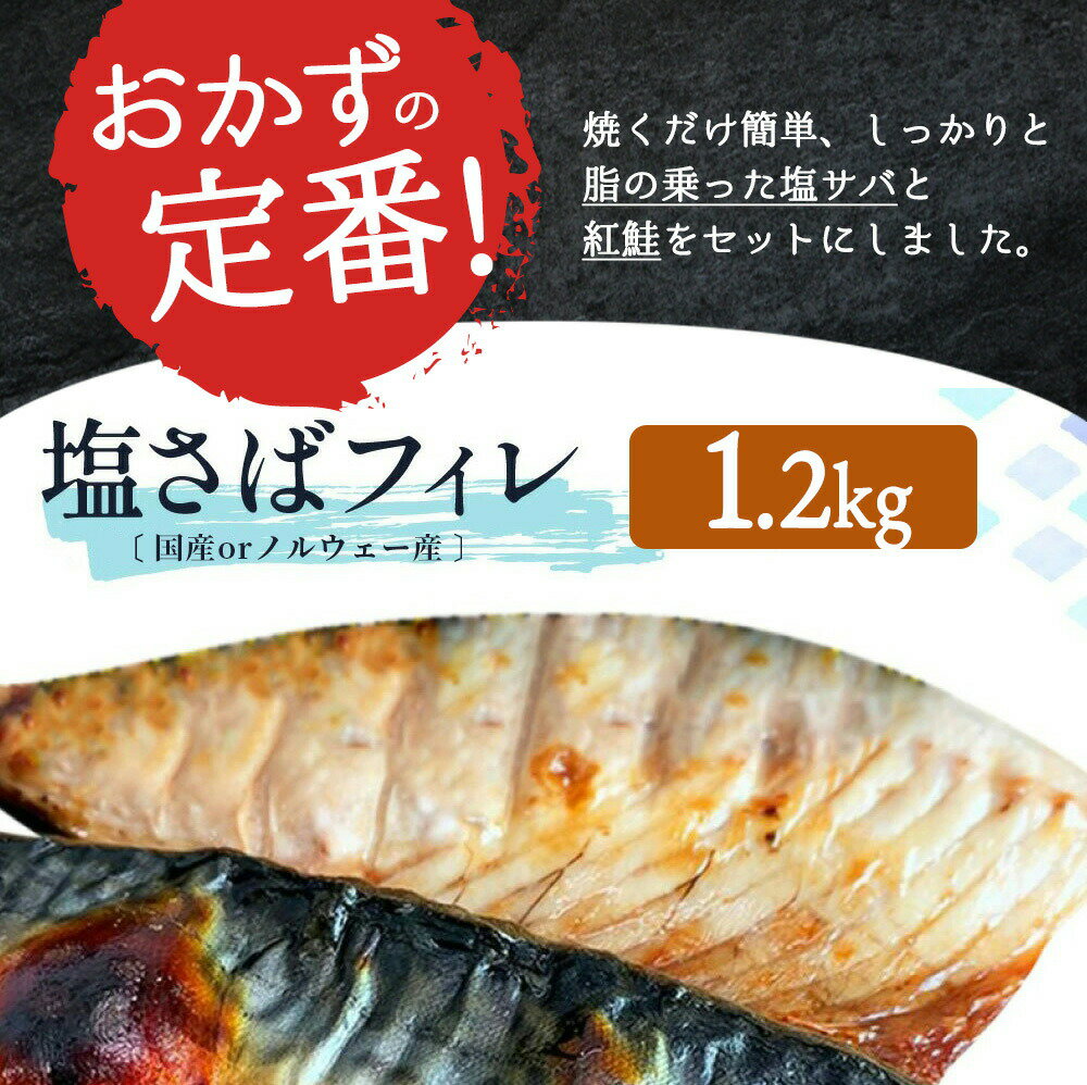 【ふるさと納税】 【全3回】大人気！ ご家庭用 塩さばフィレ＆紅鮭切身セットをたっぷりお届け定期便 / さば サバ 鯖 フィレ 鮭 サケ 切り身 切身 魚 海鮮 焼き魚 おかず 定期便