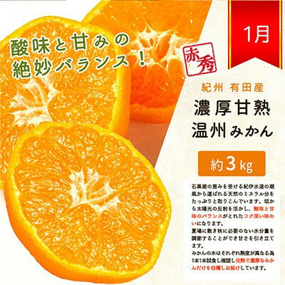 【ふるさと納税】 【全3回】紀州和歌山産旬の柑橘定期便 (みかん・なつみ・バレンシア) / フルーツ 果物 バレンシアオレンジ なつみ みかん 旬 定期便