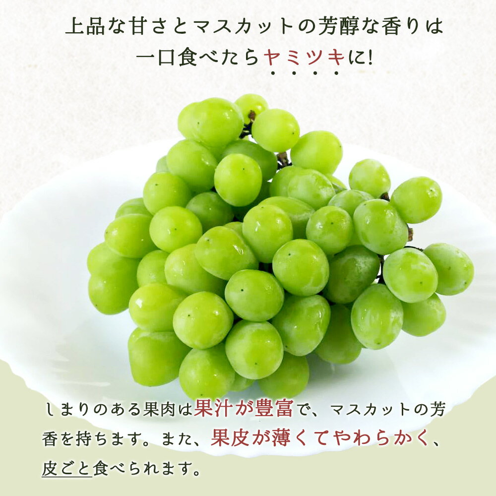 【ふるさと納税】 【全4回】 紀州和歌山産旬のフルーツセット (巨峰・シャイン・みかん・不知火) / 定期便 フルーツ フルーツ定期便 おすすめ 和歌山 果物 くだもの