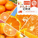 【ふるさと納税】【全4回】紀州和歌山産旬のご家庭用柑橘セット(みかん・不知火・せとか・清見)【tkb412】