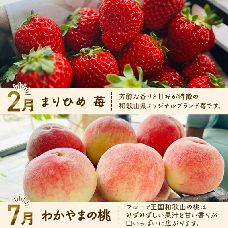 【ふるさと納税】わかやま旬のフルーツ定期便　全4回【選べる容量】 / フルーツ まりひめ いちご 桃 柿 有田みかん ※北海道・沖縄・離島への配送不可 （配送日時指定不可） / 定期便 フルーツ みかん いちご もも　かき　みかん