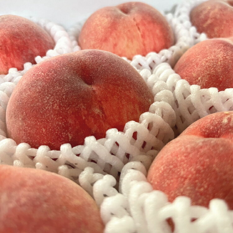 【ふるさと納税】【先行予約】フルーツ王国 和歌山 の 桃 秀品 6～9玉入り(約2kg)　※2026年6月中旬～7月下旬頃順次発送（お届け日指定不可） | 白桃 白鳳清水 白桃 なつっこ 川中島 桃 モモ 和歌山の桃 フルーツ王国