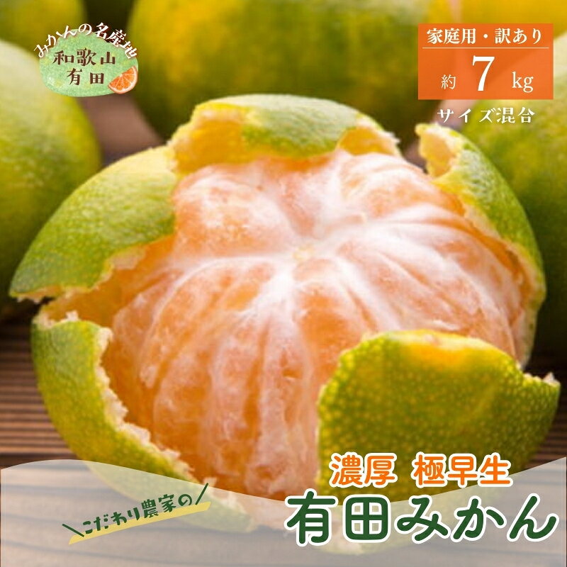 ＜10月上旬〜＞【農家直送】濃厚極早生有田みかん（ご家庭用）7kg ※2024年10月上旬〜10月下旬頃に順次発送予定