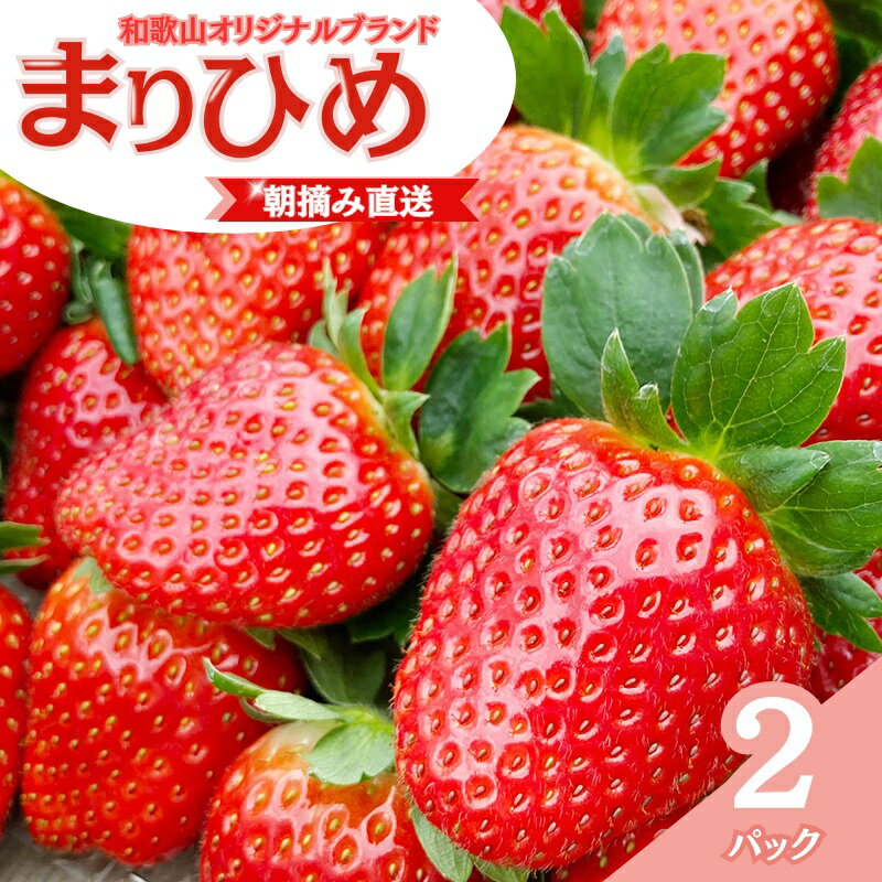【ふるさと納税】 【先行予約】特大まりひめ いちご 朝摘 6個〜11個入り×2パック 2026年1月中旬~2026年3月末頃に順次発送予定(お届け日指定不可)/ いちご 苺 まりひめ 和歌山 フルーツ 果物 くだもの