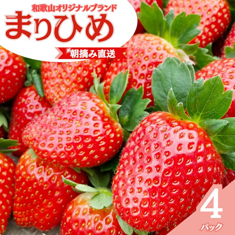 【ふるさと納税】 【先行予約】特大まりひめ いちご 朝摘 6個〜11個入り×4パック 2026年1月中旬~2026年3月末頃に順次発送予定(お届け日指定不可)/ いちご 苺 まりひめ 和歌山 フルーツ 果物 くだもの