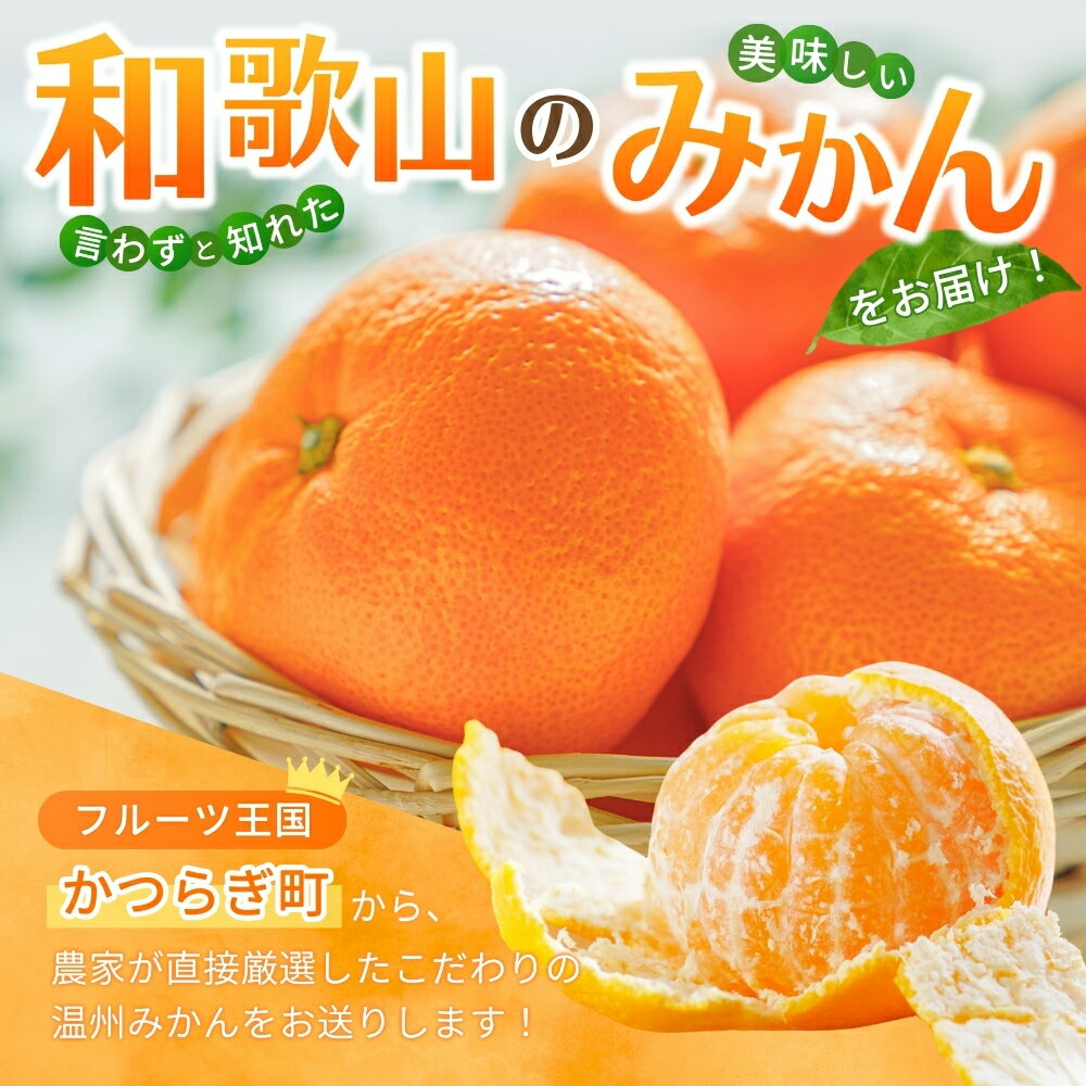 【ふるさと納税】和歌山県産温州みかん　秀品　約5kg（約40個～60個入）【先行予約】【2026年11月上旬～12月中旬頃に順次発送予定】 / みかん フルーツ 果物 柑橘 和歌山【kgr032】