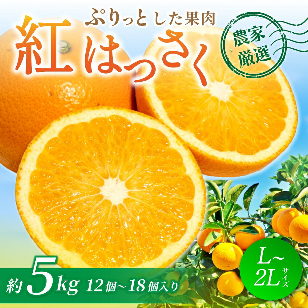 [先行予約][数量わずか]あふれる果汁! 希少な紅はっさく 秀品 5kg L〜2L 2026年1月初旬〜2026年3月末頃に順次発送予定(お届け日指定不可)/ ハッサク 八朔 紅八朔 紅はっさく フルーツ 柑橘 蜜柑 果物 くだもの