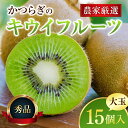 【ふるさと納税】【先行予約】和歌山県産 秀品 キウイフルーツ 大玉15個入 こだわり農家厳選【2025年12月初旬頃から2026年1月中旬頃順次発送】/ キウイ キウイフルーツ 果物 フルーツ おやつ【kgr021】/ 和歌山 柿 かき フルーツ 果物 くだもの 刀根