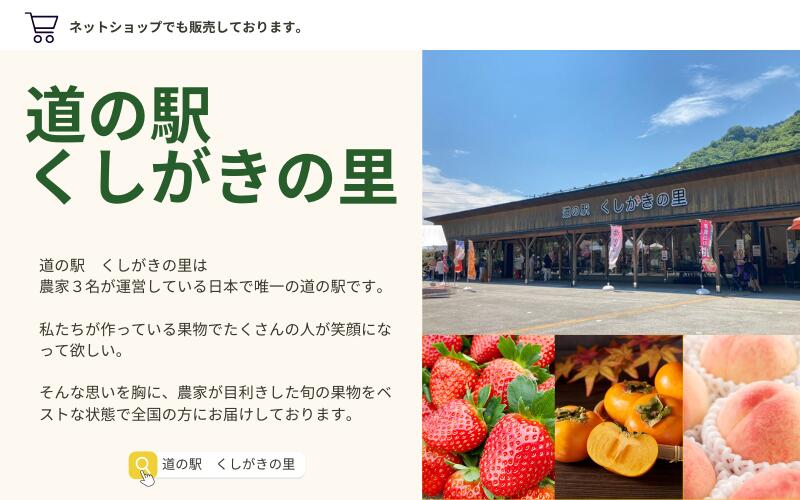 【ふるさと納税】 【先行予約】【数量わずか】あふれる果汁！ 希少な紅はっさく 秀品 5kg L〜2L 2026年1月初旬～2026年3月末頃に順次発送予定（お届け日指定不可）/ ハッサク 八朔 紅八朔 紅はっさく フルーツ 柑橘 蜜柑 果物 くだもの