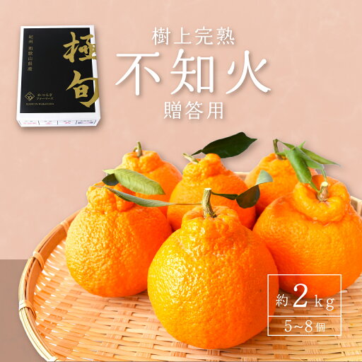【ふるさと納税】 【先行予約】【数量わずか】樹上完熟しらぬい(不知火) 約2kg(6~8個) 秀品 2026年2月下旬~2026年4月中旬頃に順次発送予定(お届け日指定不可)/ 和歌山 みかん しらぬい 不知火 フルーツ 柑橘 蜜柑 果物 くだもの 【ふるさと納税】 【先行予約】【数量わずか】樹上完熟しらぬい(不知火) 約2kg(6~8個) 秀品 2026年2月下旬~2026年4月中旬頃に順次発送予定(お届け日指定不可)/ 和歌山 みかん しらぬい 不知火 フルーツ 柑橘 蜜柑 果物 くだもの