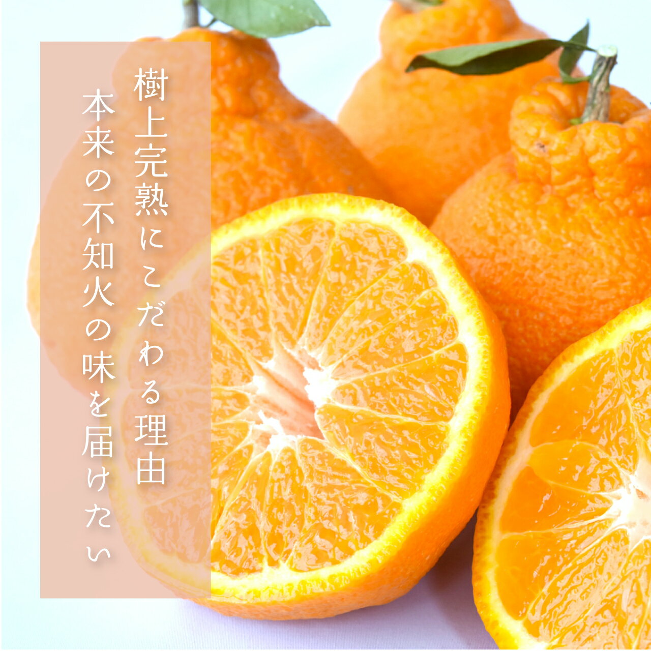 トロピカルマリア　オレンジチャック　皮付き　1Kgx10袋（袋1,050円税別）冷凍　アスク　業務用　ヤヨイ