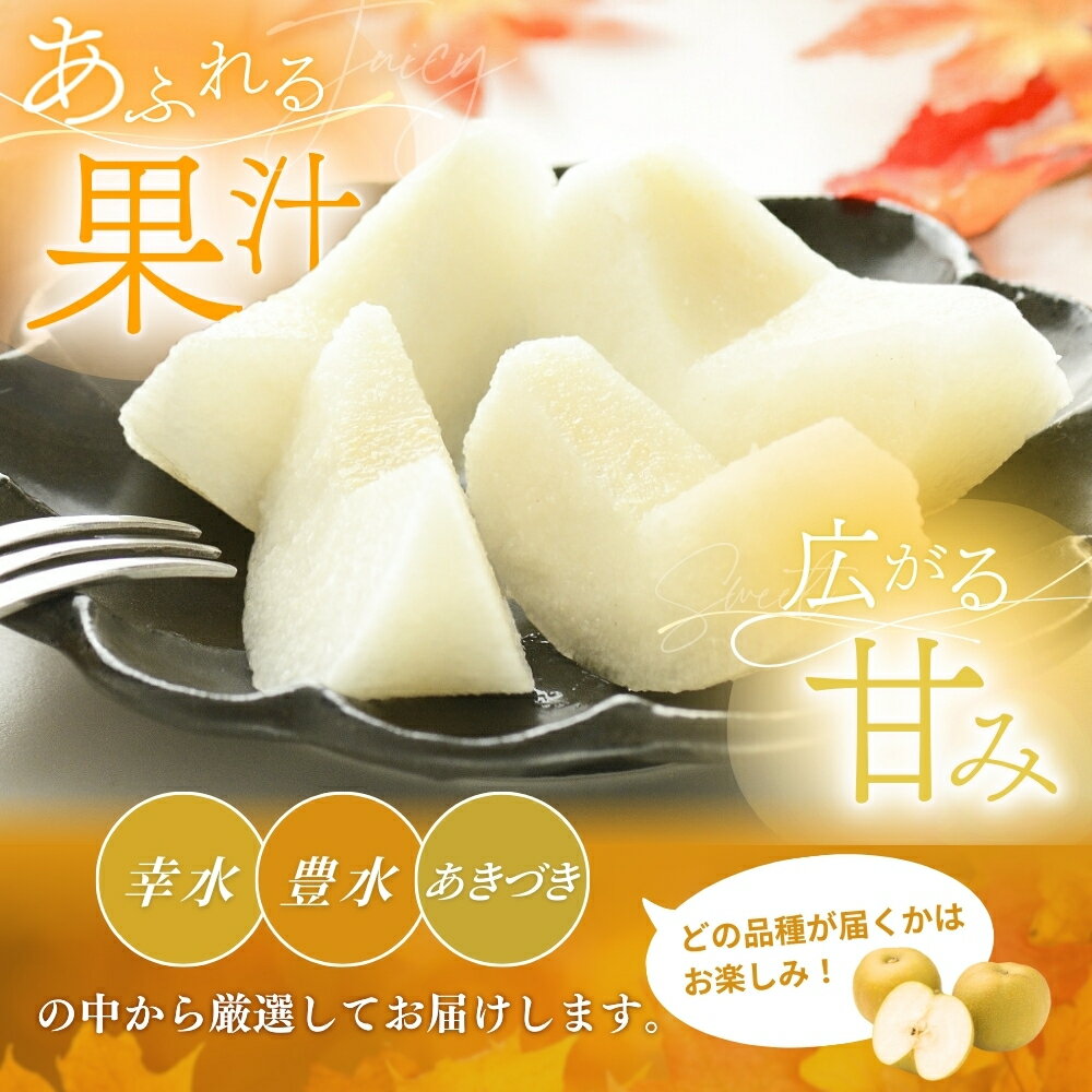 【ふるさと納税】【先行予約】旬の梨(幸水ー豊水ーあきづき) 極上秀品（中玉～大玉）6～8個入り 2026年8月中旬～9月中旬頃に順次発送予定（お届け日指定不可）/ 和歌山 梨 フルーツ 果物 くだもの【kgr015】