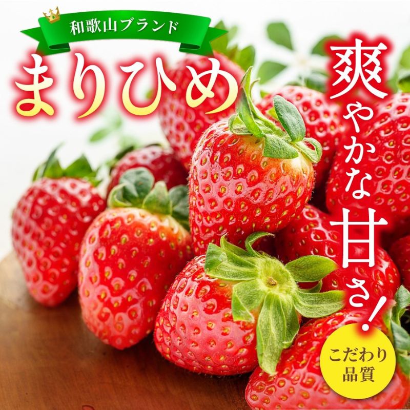 [先行予約]まりひめ いちご 12粒〜15粒入り×2パック or 4パック(500g or 1kg) 2026年1月中旬頃〜2026年3月中旬頃に順次発送予定(お届け日指定不可)/ いちご 苺 まりひめ 和歌山 フルーツ 果物 くだもの