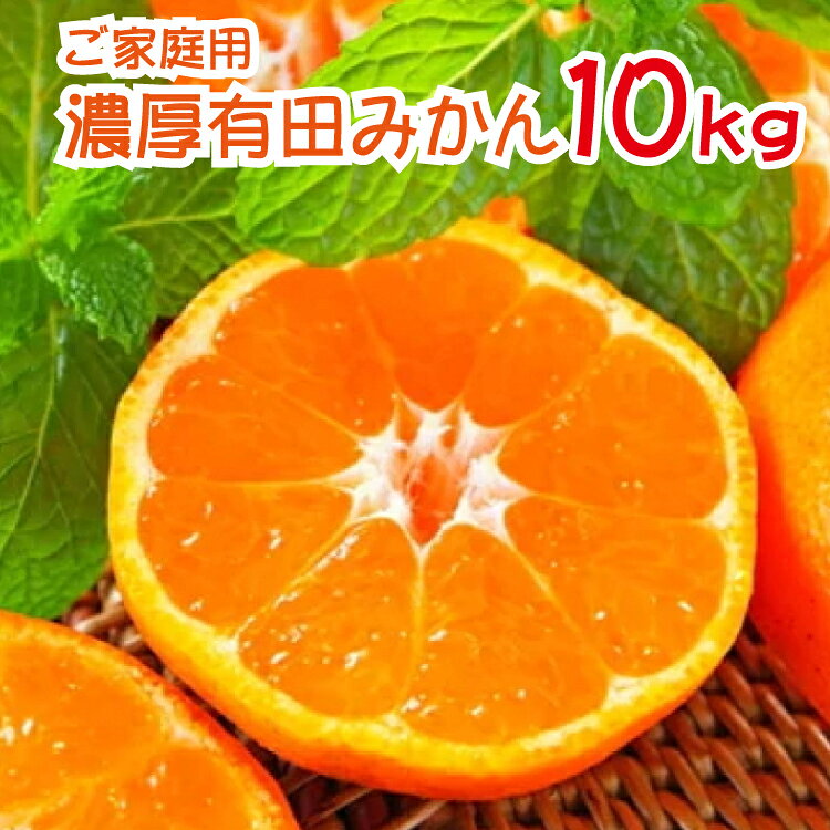【ふるさと納税】 農園直送！濃厚有田みかん 約10kg ※2024年11月上旬〜2024年12月下旬頃順次発送予定（お届け日指定不可）