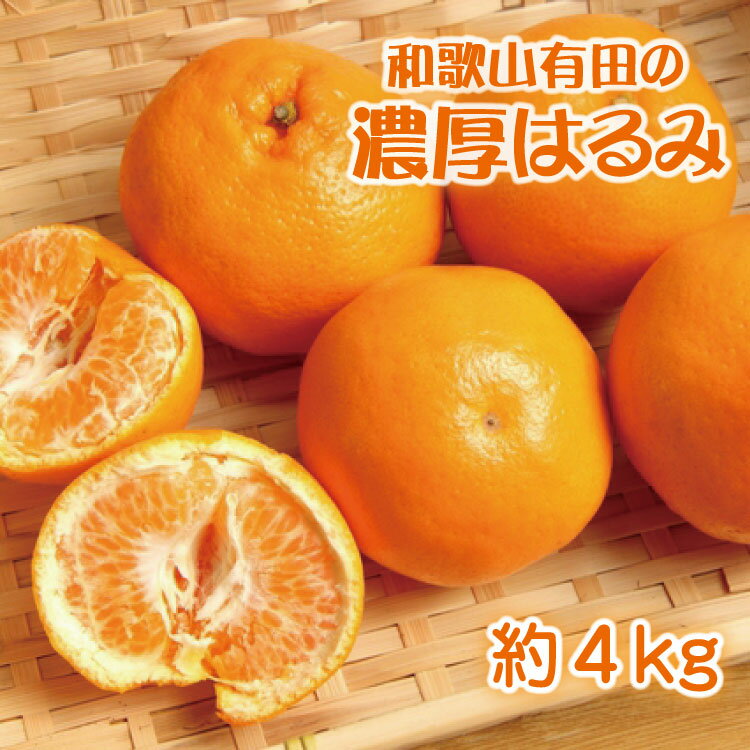和歌山有田の濃厚 はるみ 約4kg (2L又は3Lサイズ) ※2027年1月下旬〜2月中旬順次発送予定