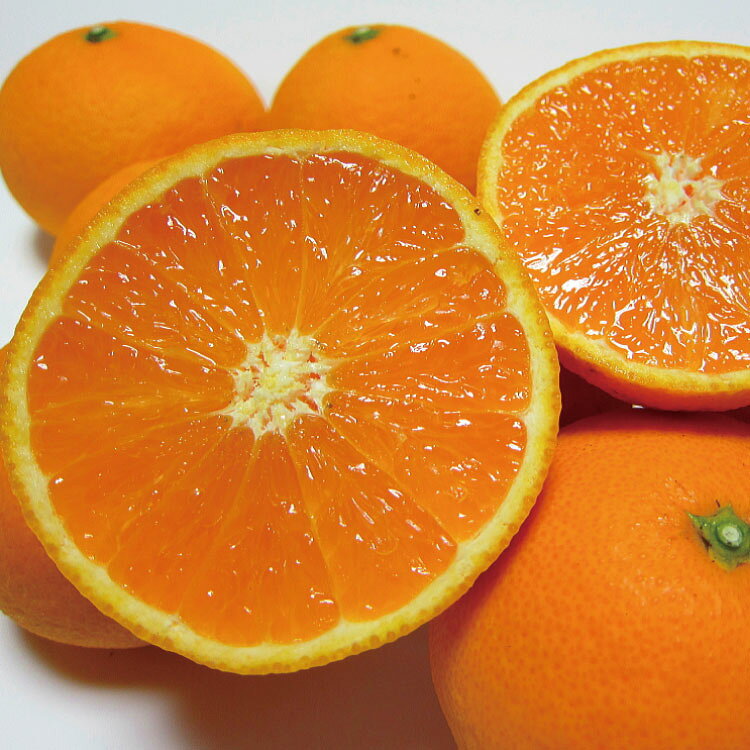 【ふるさと納税】 約1kg 約3kg 約5kg 約7.5kg 約10kg＋200g【2027年2月下旬〜5月上...