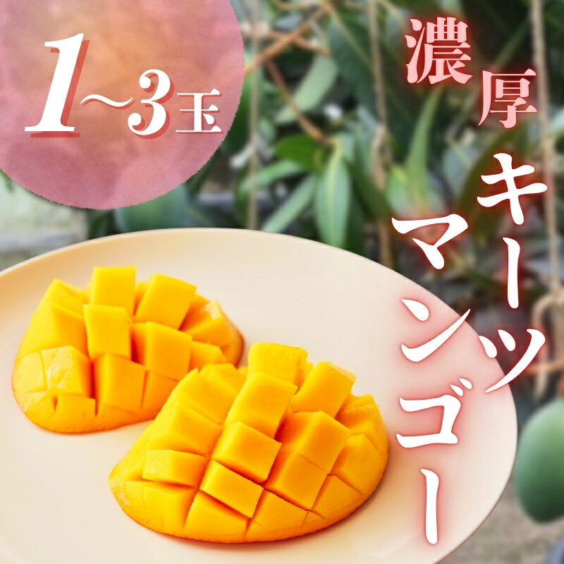 [ 希少 マンゴー ]濃厚 キーツマンゴー ＼容量をお選びください/ ※2025年9月下旬〜10月下旬頃に順次発送予定