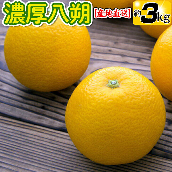 【先行予約】【産地直送】濃厚八朔（ご家庭用）約3kg｜はっさく 柑橘 サイズおまかせ 期間限定 ※着日指定不可 ※2025年4月中旬～5月下旬に順次発送予定