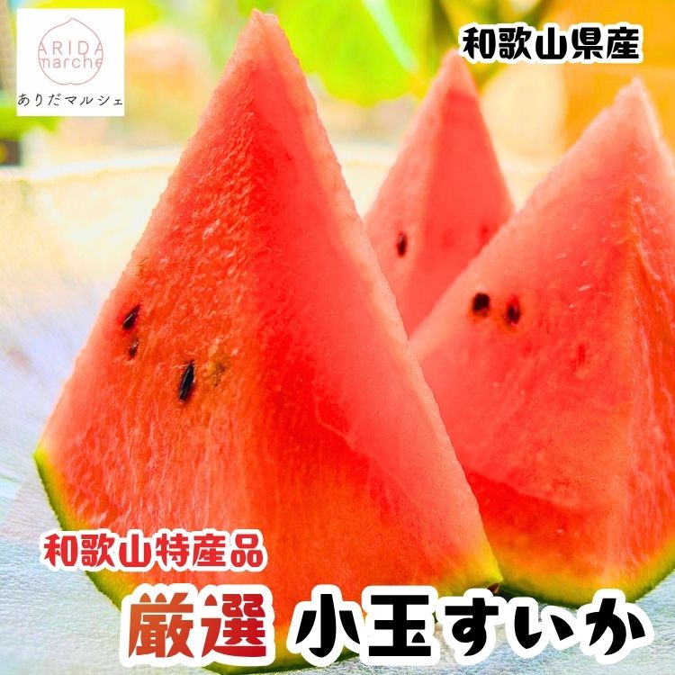 [先行予約]農家直送 厳選 小玉すいか Mサイズ/1玉入り ※2027年6月上旬〜6月下旬頃に順次発送予定(お届け日指定不可)