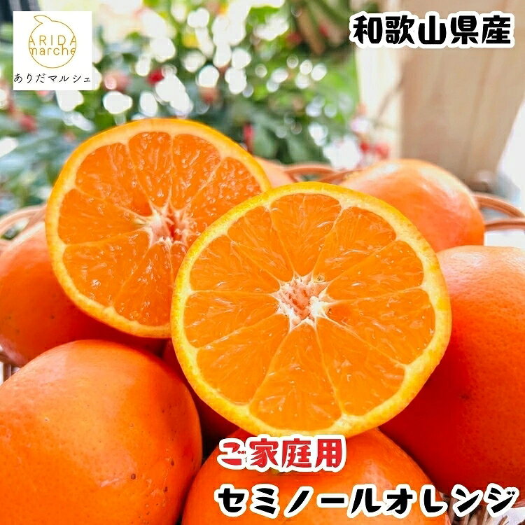【ふるさと納税】 有田育ちの爽快セミノールオレンジ(ご家庭用) 約1kg～約10kg+200g（補償分） ※2027年4月上旬〜5月下旬順次発送予定