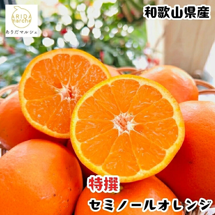 特撰 有田 育ちの爽快 セミノールオレンジ / みかん 高級 くだもの 晩柑 柑橘 和歌山 ※2027年4月上旬〜5月下旬順次発送 ※北海道・沖縄・その他離島地域は発送不可