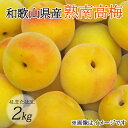 【ふるさと納税】 【梅干・梅酒用】(4Lまたは3L−2Kg)熟南高梅<2026年6月上旬〜7月上旬ごろに順次発送予定> / 梅 青梅 梅干 梅干し 大容量 梅酒 お酒