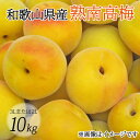 【ふるさと納税】 【梅干し・梅酒用】(3Lまたは2L−10Kg)熟南高梅<2026年6月上旬〜7月上旬ごろに順次発送予定> (お届け日指定不可)