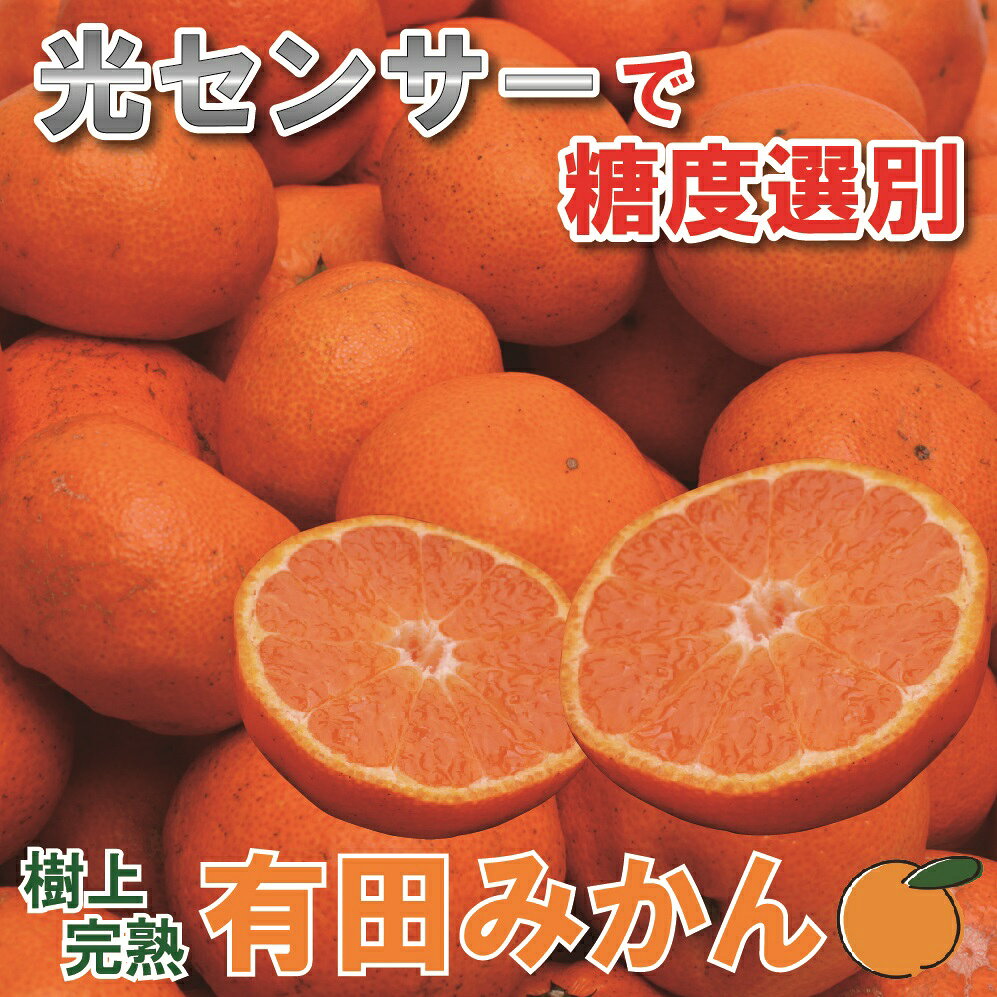 樹上完熟有田みかん8.5kg+255g（傷み補償分）【光センサー選果】 ＜2023年11月中旬〜2024年1月下旬ごろに順次発送＞