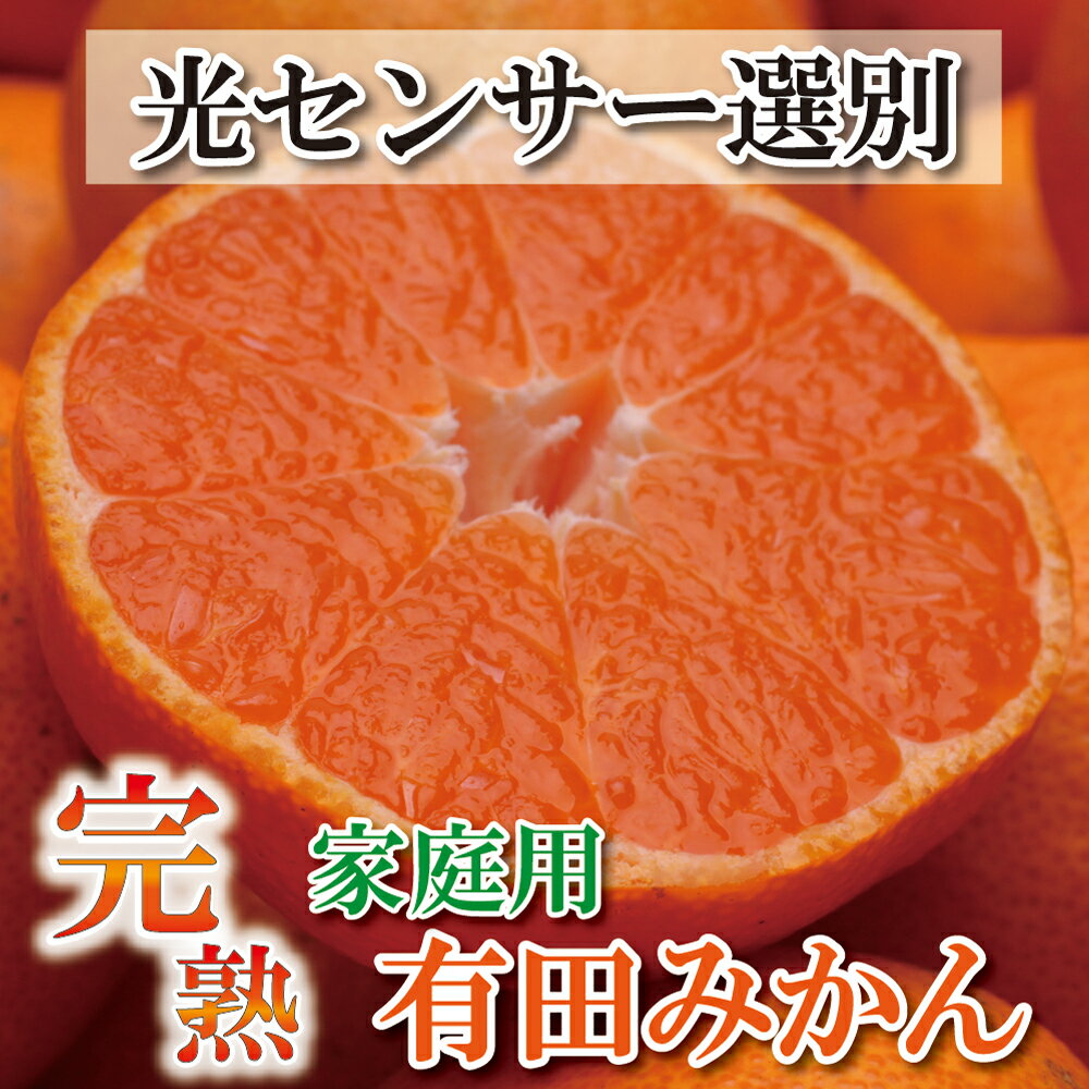 【ふるさと納税】家庭用　完熟有田みかん10kg+300g（傷み補償分）【わけあり・訳あり】【光センサー選別】 ＜2022年11月～2023年1月下旬ごろに順次発送＞