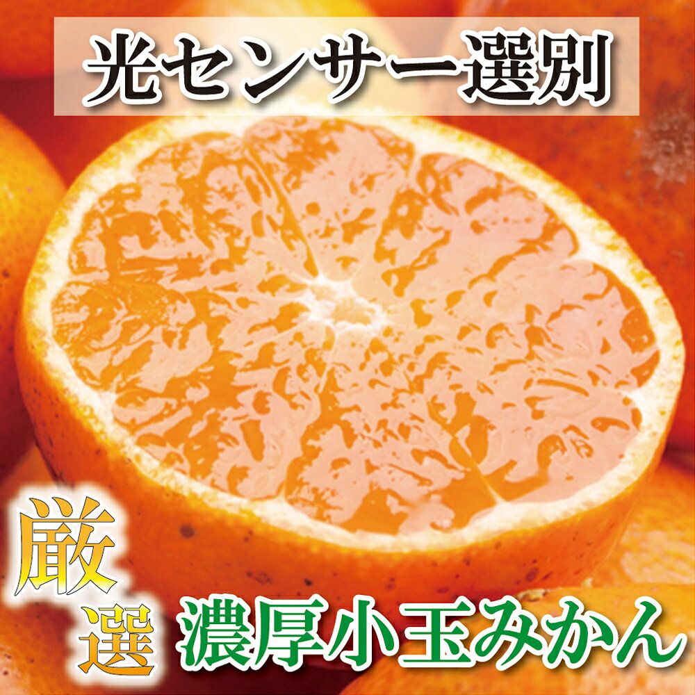 厳選 小玉な有田みかん 2.5kg+75g(傷み補償分) / 5kg+150g(傷み補償分) / 7.5kg+225g(傷み補償分)【光センサー選果】 ＜2024年11月中旬〜2024年12月下旬ごろに順次発送＞