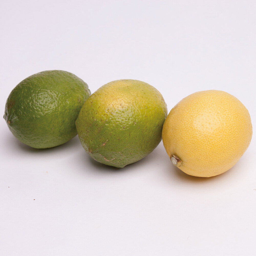 【ふるさと納税】 ＜先行予約＞厳選 黒潮レモン 2.5kg+75g(傷み補償分) / 4kg+120g(傷み補償分) / 5kg+150g(傷み補償分) 【和歌山有田産】【防腐剤・WAX不使用、安心の国産レモン】＜2024年9月上旬頃〜2025年4月下旬頃に順次発送＞