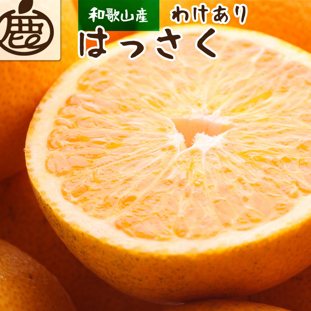 【ふるさと納税】家庭用はっさく5.5kg+165g(傷み補償分)【八朔・ハッサク】【わけあり・訳あり】【光センサー選別】 <2023年1月~2023年3月下旬ごろに順次発送>