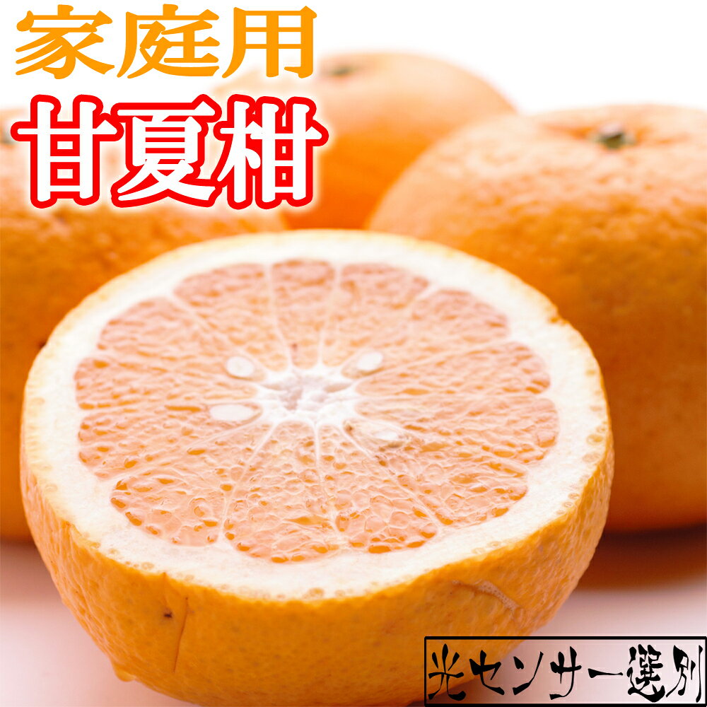 ＜6月発送＞家庭用甘夏柑7kg+210g（傷み補償分）【初夏のみかん・旬の果物】【有田産】【光センサー食べ頃出荷】【わけあり・訳あり】