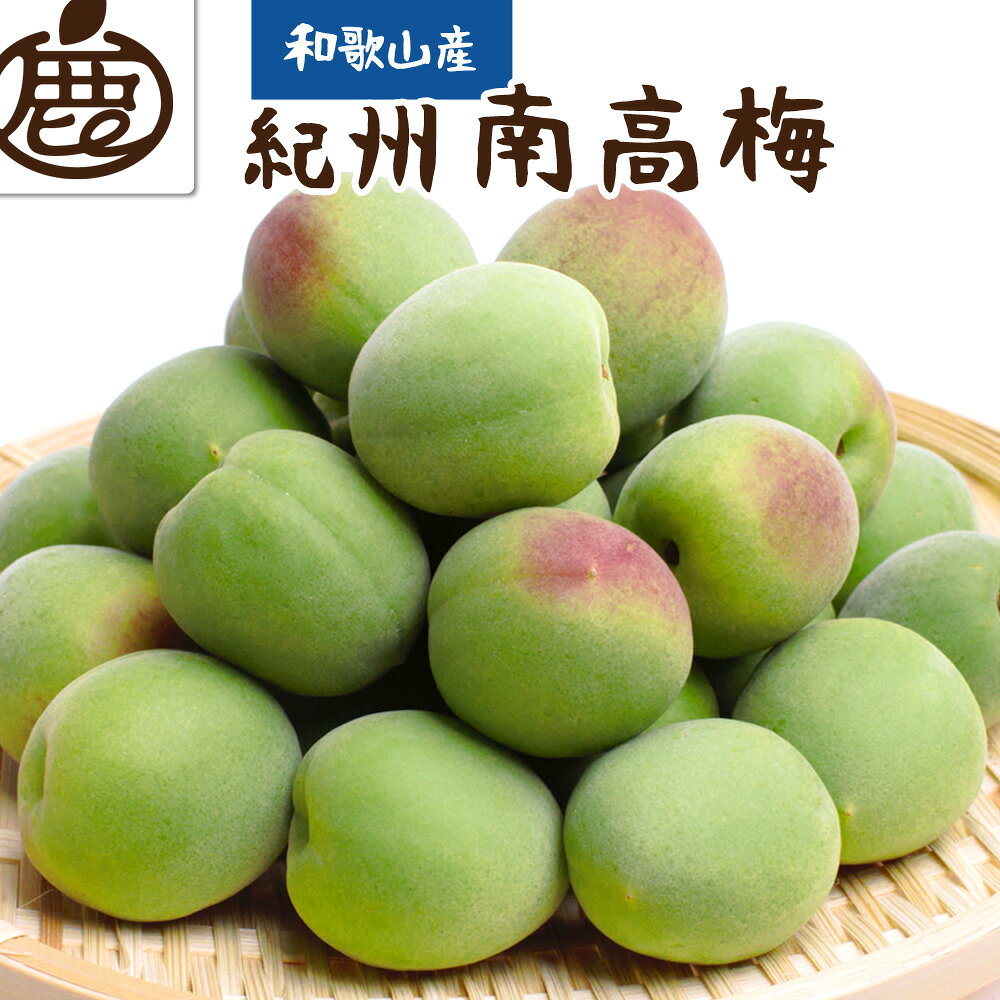 ＜6月発送＞厳選 紀州南高梅(青梅)2.5kg+75g（傷み補償分）【朝摘み・とれたて直送便】【梅干し・梅酒・梅ジュース】【和歌山産】