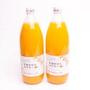 5位! 口コミ数「0件」評価「0」とろり　みかんネクター1000ml×2本【無添加100%ストレートジュース】【有田みかんジュース】