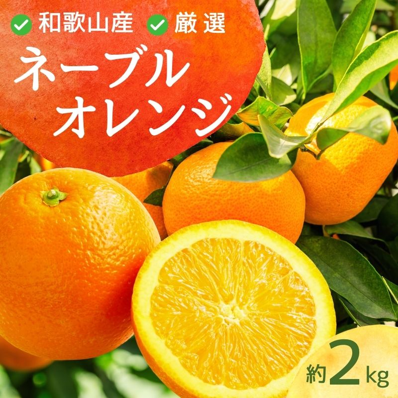 ＜2月より発送＞ 厳選 ネーブルオレンジ 2kg+60g（傷み補償分）【光センサー選別】