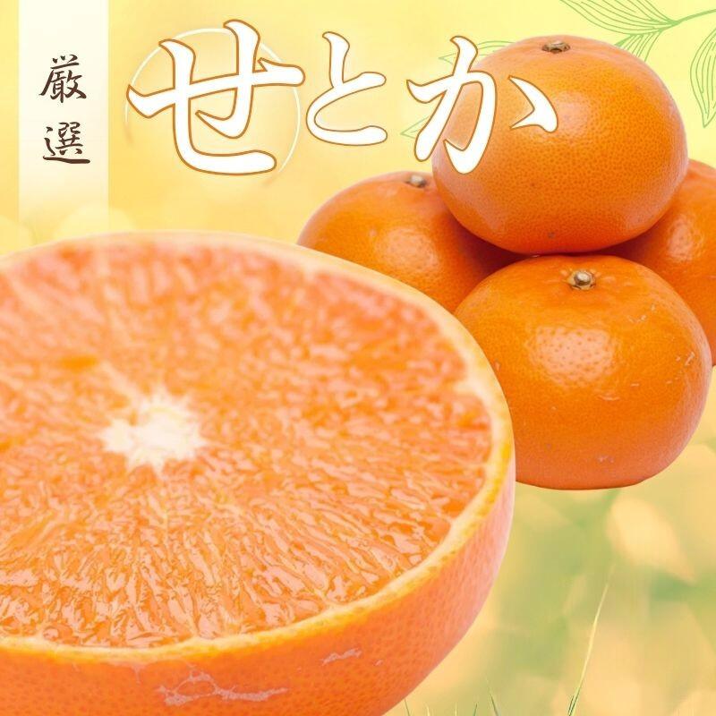 厳選 せとか 選べる容量 1kg 2.5kg 5kg [柑橘・春みかんの王様][光センサー選果・食べ頃出荷][2026年2月上旬〜3月下旬頃に順次発送]