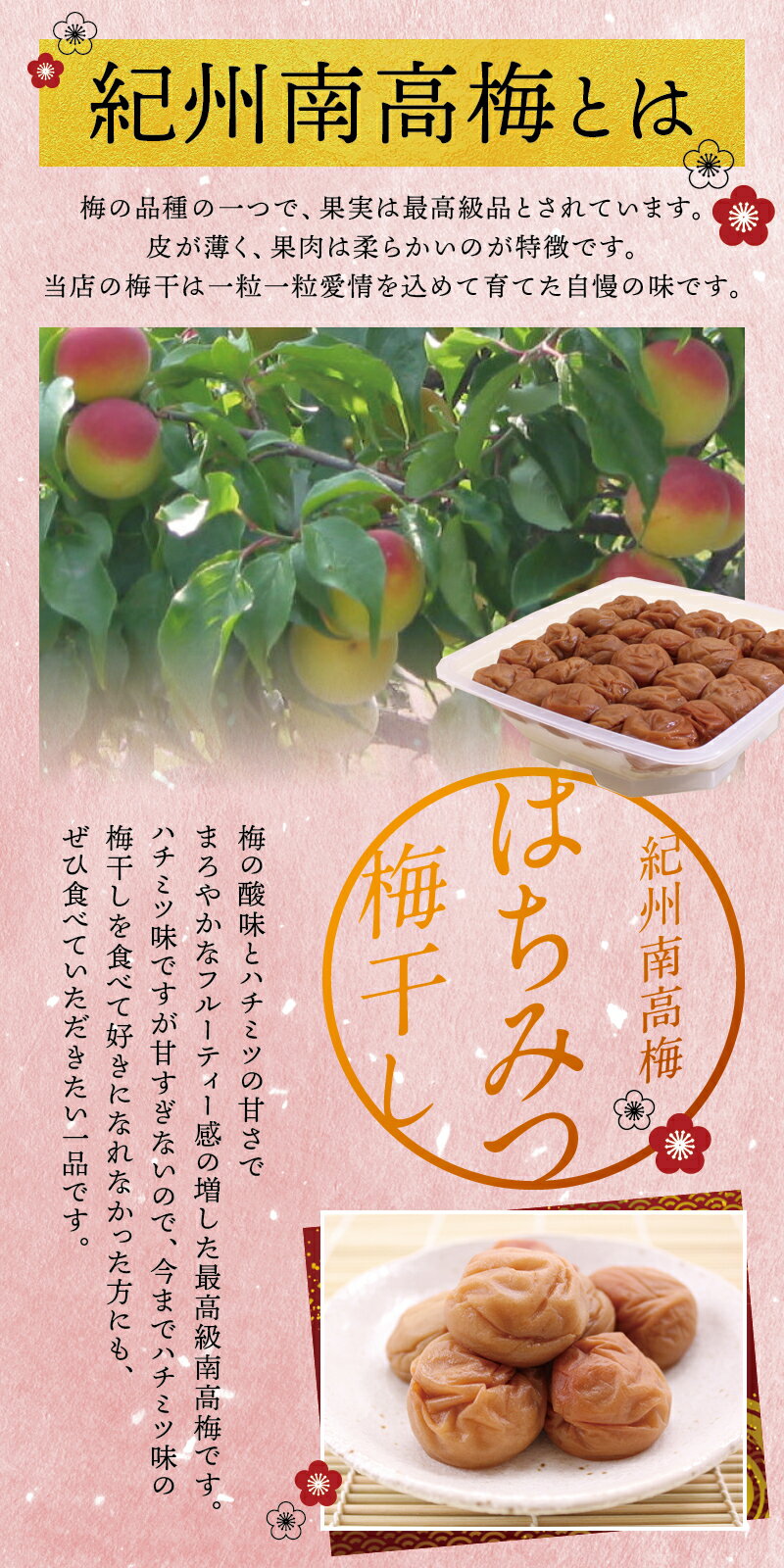 【ふるさと納税】 最高級紀州南高梅大粒・はちみつ梅干し 1kg〜1.4kg【ご家庭用】 / 梅干 梅干し 梅 南高梅 大容量 人気 大粒 ご家庭用