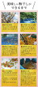 和歌山県新宮市の画像3