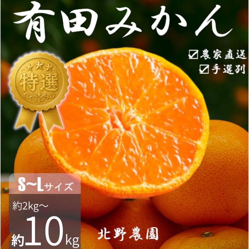 【ふるさと納税】 ＼容量が選べる！／ 特選 有田みかん 和歌