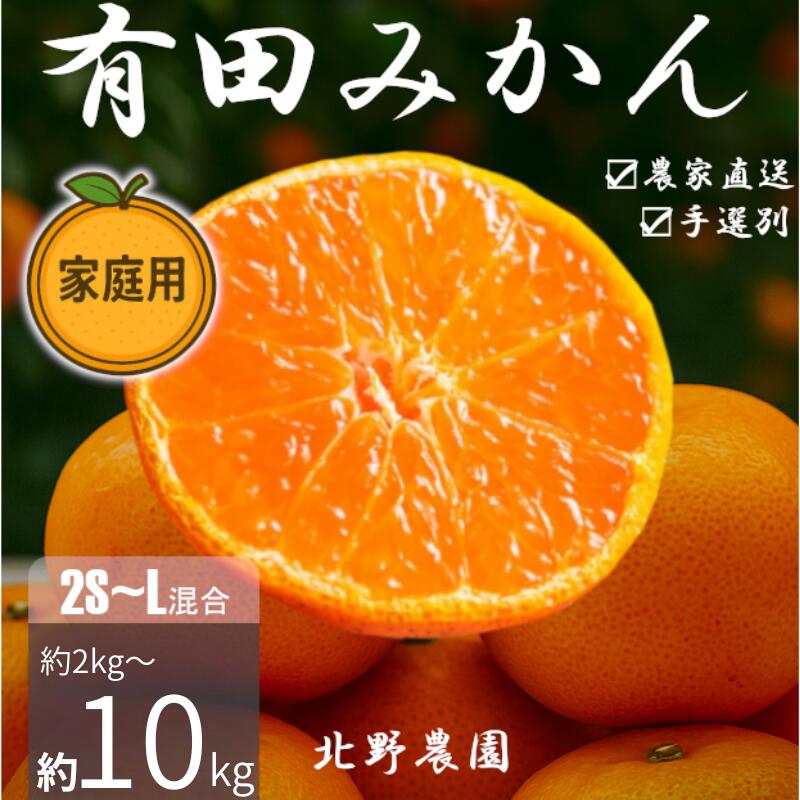 【ふるさと納税】 ＼容量が選べる！／ 家庭用 訳あり 有田み