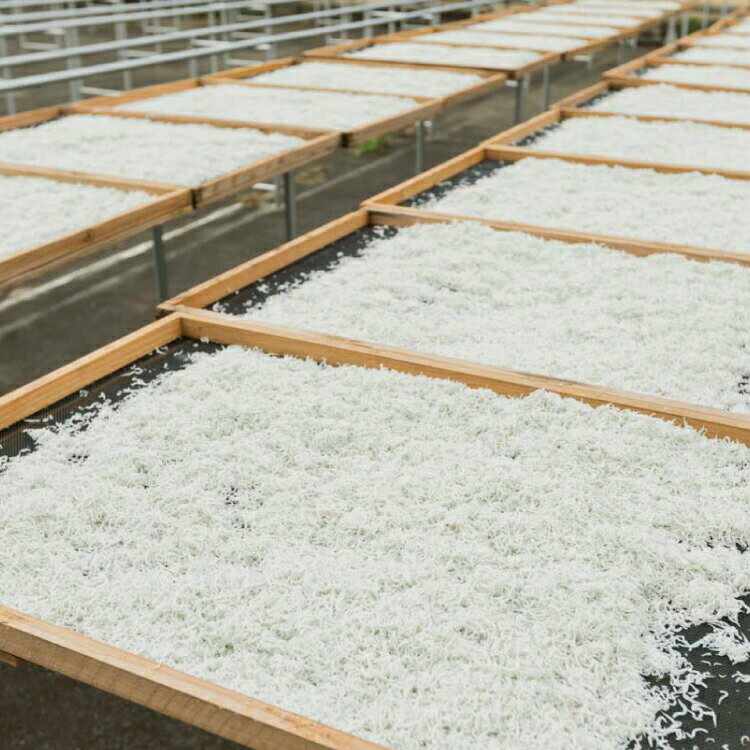 北海道ぎょれん 干し貝柱 Lサイズ 300G入 北海道産 1等検 超特大粒 ホタテ貝柱 乾燥 帆立貝柱 ホタテ貝柱 乾燥ホタテ 貝柱 乾燥 干しホタテ 乾燥貝柱 干貝柱 おつまみ 干しホタテ貝柱 貝柱 ほたて 乾燥ホタテ貝柱 ホタテ 乾燥 メール便