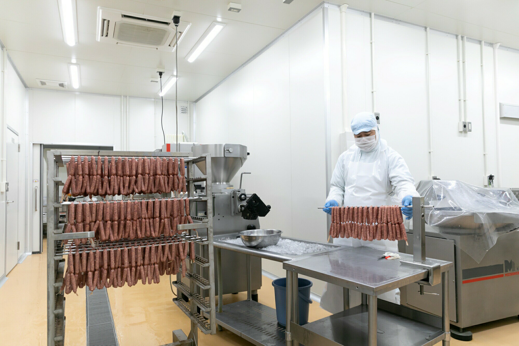 【ふるさと納税】 わかやまジビエソーセージ 猪・鹿10パックセット