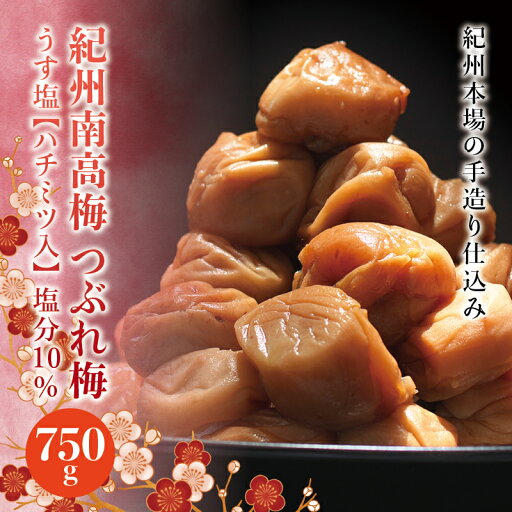 【ふるさと納税】 訳あり 紀州南高梅 <つぶれ梅>うす塩750g【ハチミツ入】塩分10% なかやまさんちの梅干 うめ ウメ 梅干し 【ふるさと納税】 訳あり 紀州南高梅 <つぶれ梅>うす塩750g【ハチミツ入】塩分10% なかやまさんちの梅干 うめ ウメ 梅干し