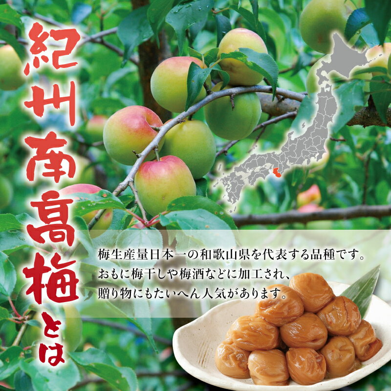 【ふるさと納税】【訳あり】紀州南高梅 ＜つぶれ梅＞ うす塩orかつお 2kg【ハチミツ入】塩分10%　なかやまさんちの梅干 梅 梅干し 梅干 南高梅 はちみつ うめ ウメ つぶれ梅 【ご家庭用】