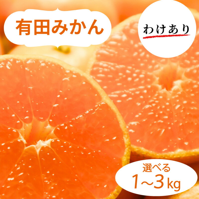 【ふるさと納税】 和歌山県産 有田みかん 訳あり 【選べる容量】 1kg 〜 3kg ※2024年10月下旬〜2025年1月中旬頃に順次発送予定（お届け日指定不可) ミカン 和歌山 有田
