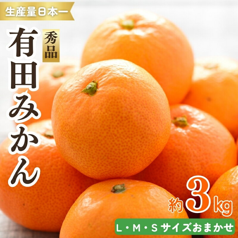 紀州 有田みかん 秀品 3kg(L・M・Sサイズおまかせ) 温州みかん ミカン 蜜柑 柑橘 フルーツ ※2025年11月下旬〜2026年1月中旬頃 順次発送予定