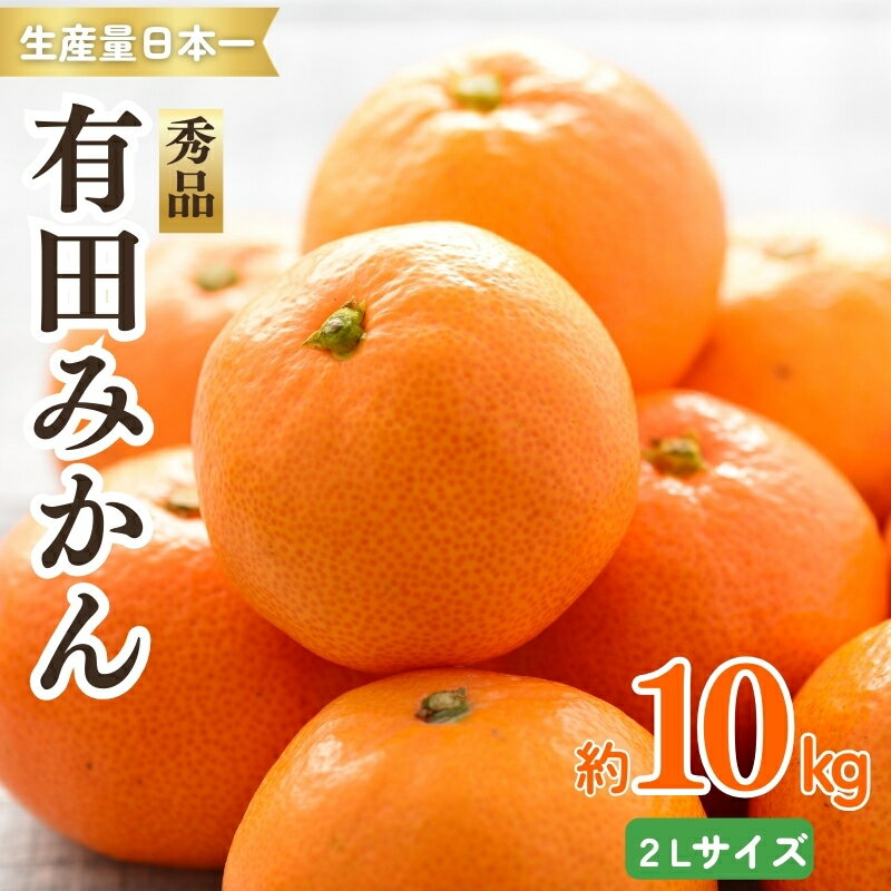 紀州 有田みかん 秀品 10kg(2Lサイズ) 温州みかん ミカン 蜜柑 柑橘 フルーツ ※2025年11月下旬〜2026年1月中旬頃順次発送予定